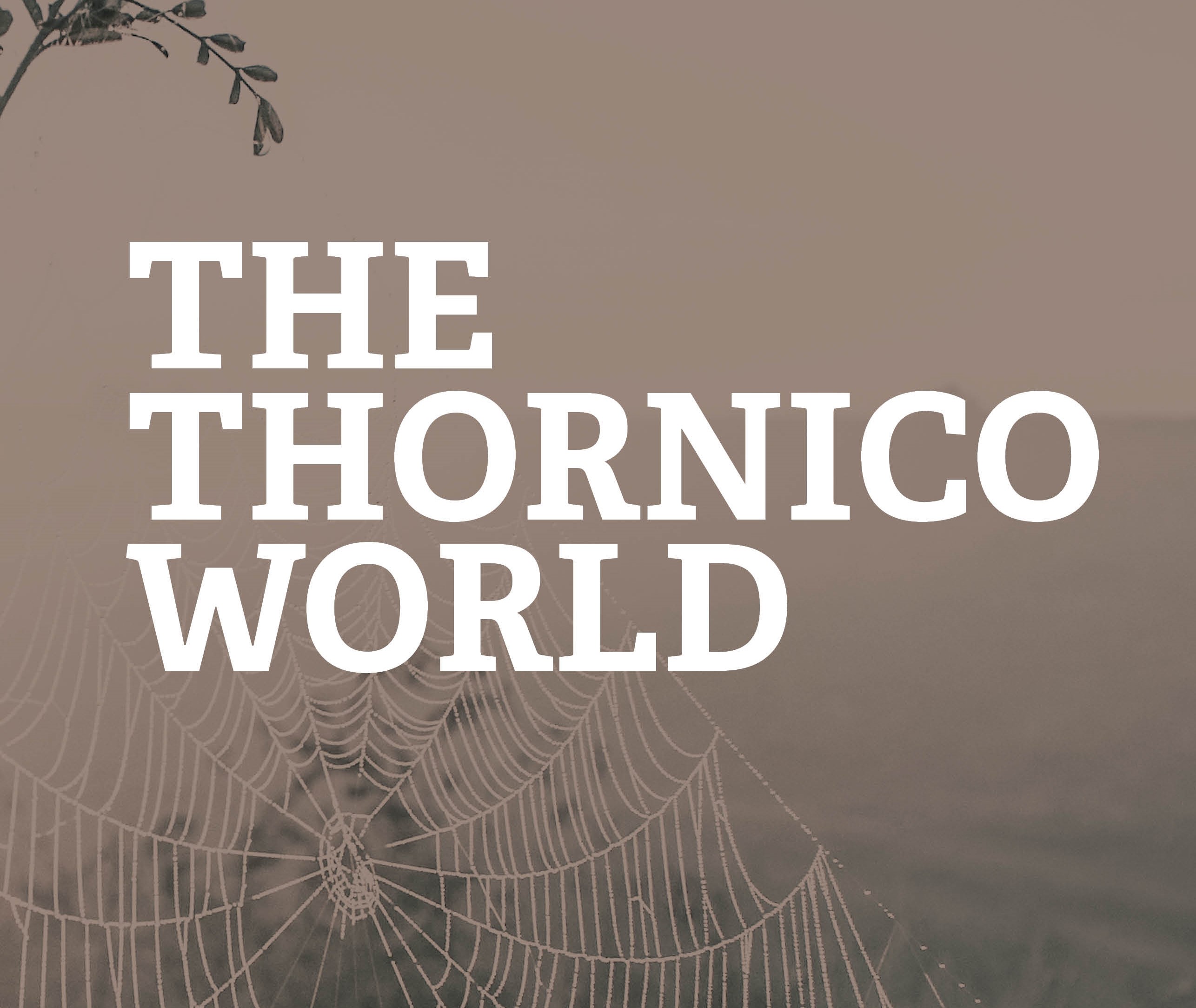 New THORNICO brochure