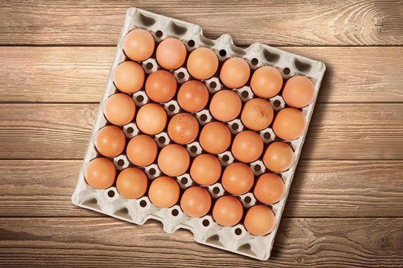 Hartmann expands with acquisition of Mohan Fibre in India